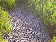 New Water Management Tool